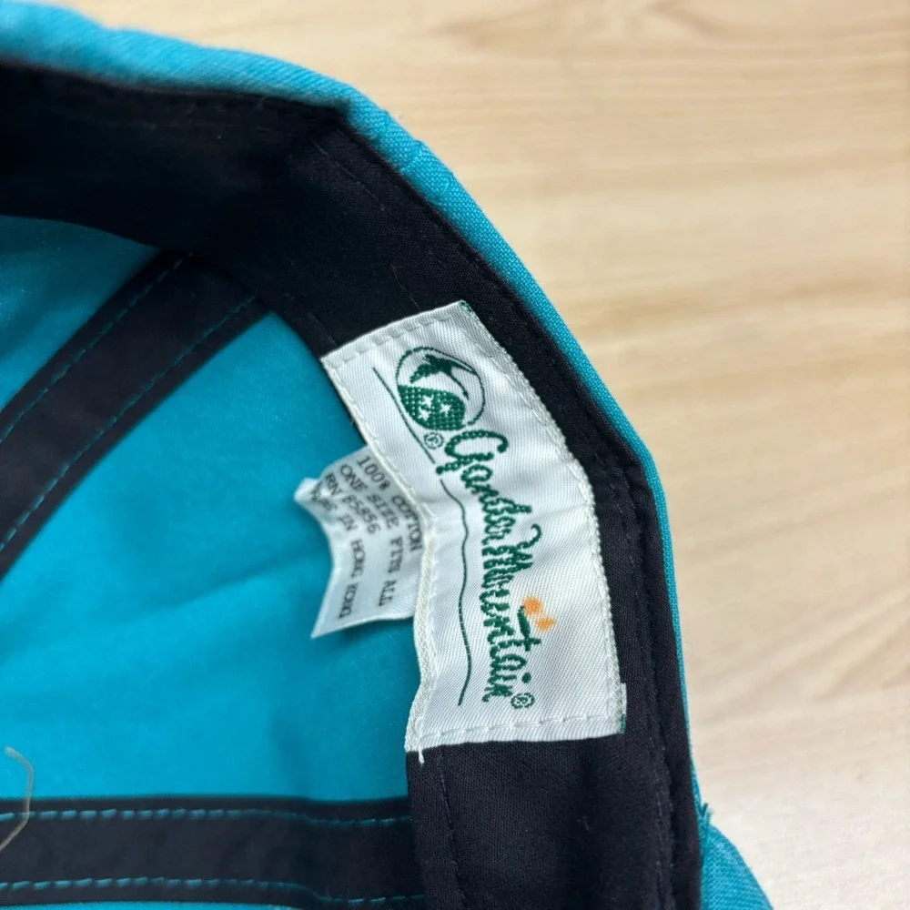 Vintage‎ Gander Mountain Hat Cap Snap Back Blue Outdoor Fishing Hunting 90s Teal